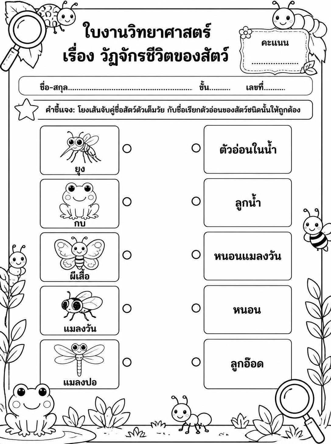 ตัวอย่างใบงาน ดาวน์โหลดฟรี! ใบงานวิทยาศาสตร์ ป.3 เรื่องวัฏจักรชีวิตของสัตว์ แบบจับคู่แสนสนุก พร้อมเฉลย